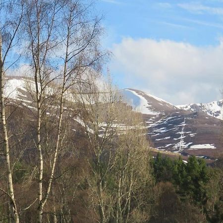Pine Marten Bar Glenmore Pods Aviemore Buitenkant foto