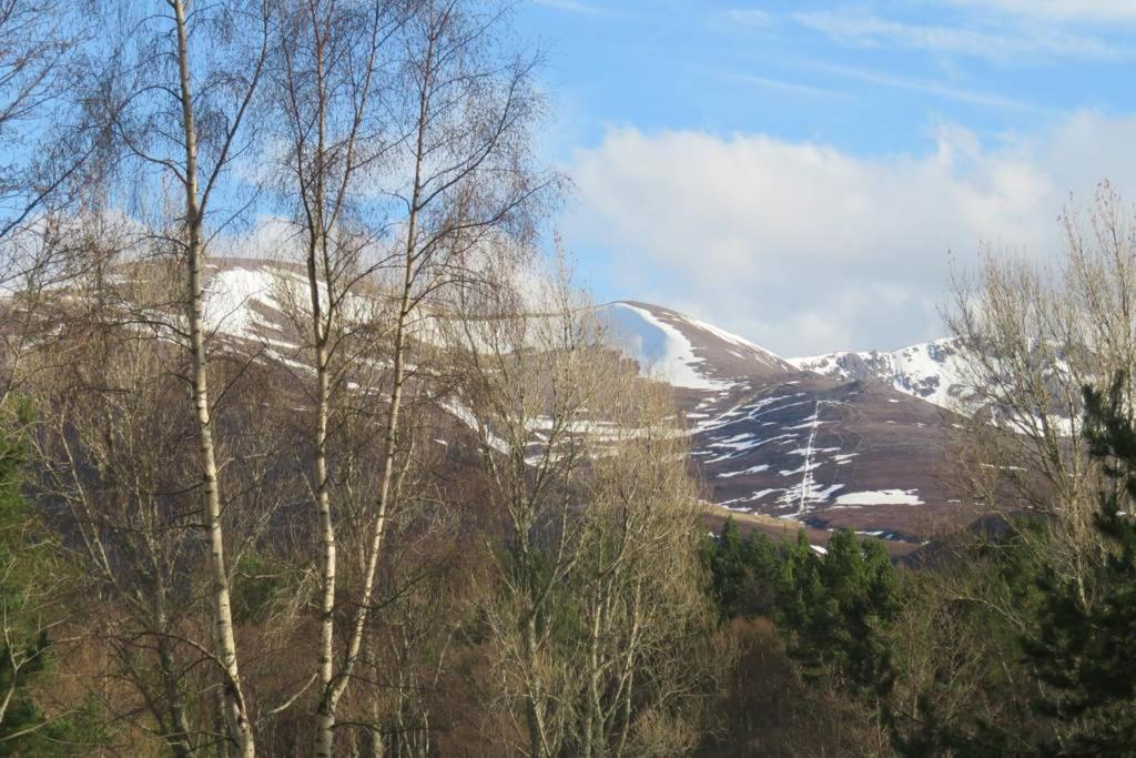Pine Marten Bar Glenmore Pods Aviemore Buitenkant foto